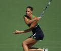 Miami Open: Pliskova, Wozniacki advance to semis