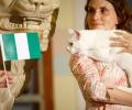 Feline fortune-teller tips Nigeria to beat Argentina