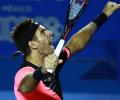 Tennis roundup: Del Potro, Tsurenko win Acapulco titles