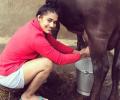 Wrestler Babita's new picture is breaking the internet