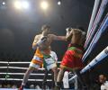 Vijender scores 12th successive professional win