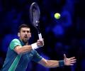 ATP Finals: Djokovic dominates Hurkacz to secure semis spot