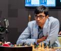 Sinquefield Cup: Firouzja dominates; Praggnanandhaa, Gukesh fall short