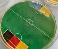 Euro 24: Can E. Coli bacteria predict match results?