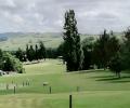 Sheep Fired! New Zealand golf course turns to mowers