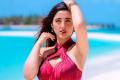 Bigg Boss' Ashnoor Kaur, Style Chameleon