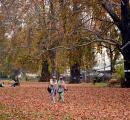 Kashmir Glows in Autumn Gold