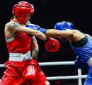 Indian boxers punch above weight at World Cup Finals