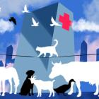 AIIMS-Like Centre For Animals In Delhi