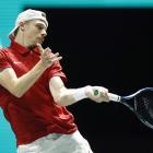 Canada, Germany win opening ties in Davis Cup Finals