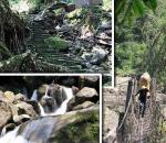 Travel: Trekking to the living bridges of Cherrapunji