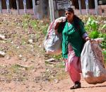 The Garbage Collector Whose Book Is Taught At Uni