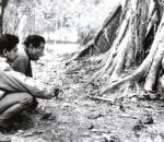 The unseen Satyajit Ray