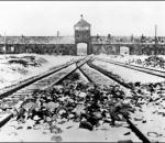 Auschwitz: The evil that man did