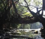 Why they call this India's cleanest village