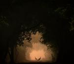 15 STUNNING Wildlife Photos