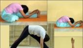 No copyright or trademark in Yoga, pranic healing asanas: HC