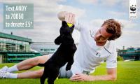 Andy Murray plays with pups in sniffer-dog video