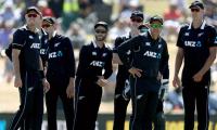 New Zealand cricketers start squad training