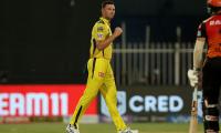 Top Performer: Josh Hazlewood