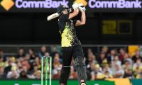 Warner hails 'godsend' Tim David after Brisbane blitz