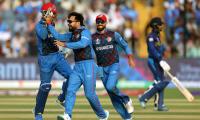 Spinners make Afghanistan favourites against Holland