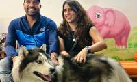 Rohit's Wife Sparks Row Over Stray Dog Removal Order