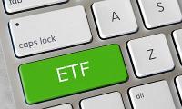 Should you invest in this public sector ETF?