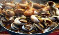 Would you dare to taste boiled snails in Morocco?