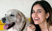 In pics: Sonnalli Seygall and her adorable pets