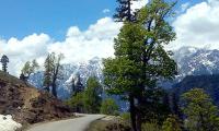 Travel pix: Why you must visit Himachal in the summer