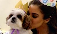 Sophie Choudry celebrates her pet's birthday in style