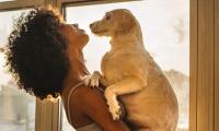 ASK POOJA: Emotionally Ready for a Pet?