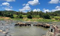 Sri Lanka: Paradiso For Travellers