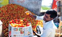 Rajan advises banks to encourage borrowers to hedge agri risks