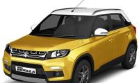 Maruti's market share has zoomed past global trends