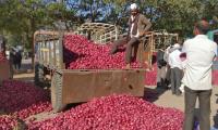 High Onion Prices? Modi must do nothing!