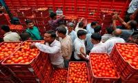 Household budget goes for toss; tomatoes cost Rs 90/kg