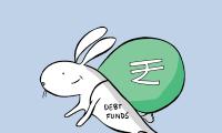 Investing In Shorter-Duration Debt Funds?