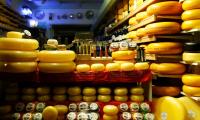 'Growth Of Cheese Market In India Is Exponential'