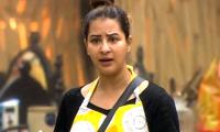 Bigg Boss 11: Should Shilpa stop being everbody's ma?