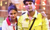 Bigg Boss 16: Are Priyanka-Ankit Dating? VOTE!