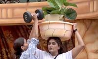 Bigg Boss 16: Shalin-Nimrat Fight For Captaincy