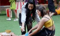 Bigg Boss 16: Did Ankit HURT Gori?