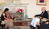 Swaraj, Karzai agree to intensify security, defence ties