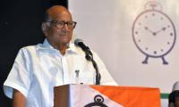 Assembly polls will be Pawar's toughest battle so far