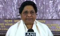 Mayawati won't contest Lok Sabha polls