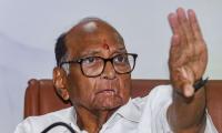 'Childish': Sharad Pawar on Sena-BJP tussle