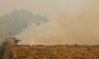 We are helpless: Punjab farmers on stubble burning