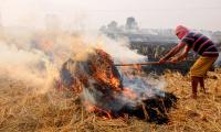 18% of Delhi's air pollution due to stubble burning